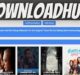 DownloadHub 2022: 300MB Dual Audio HD Movie Download